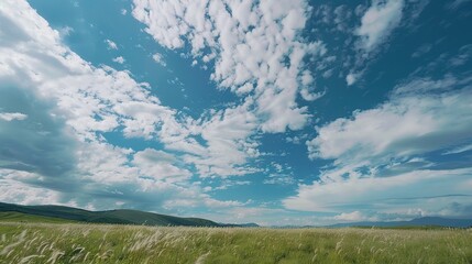 Wall Mural -   Field of grass beneath blue sky, dotted with clouds and distant hills