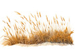 © Rawpixel.com - Outdoors plant grass tranquility. AI generated Image by rawpixel.