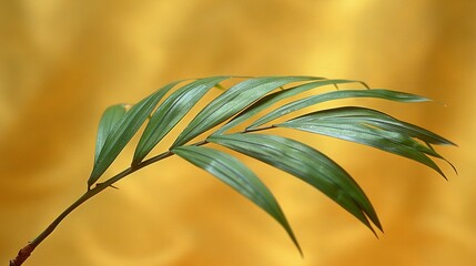Wall Mural -   A close-up of a green leaf on a yellow background with a blurred image of a plant