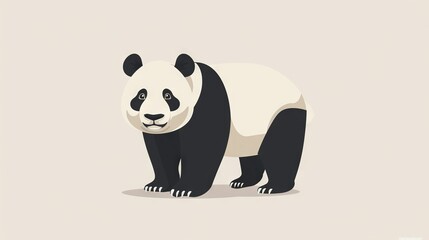 Wall Mural -   Panda Bear on Black and White Background