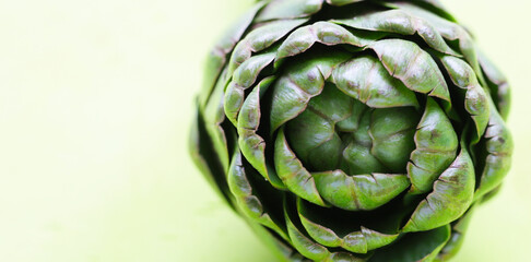 Wall Mural - Purple artichoke on green background.