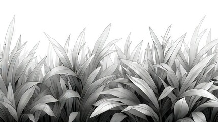Canvas Print -   A monochrome photograph depicts a lush field of grass featuring elongated, slender blades in the foreground