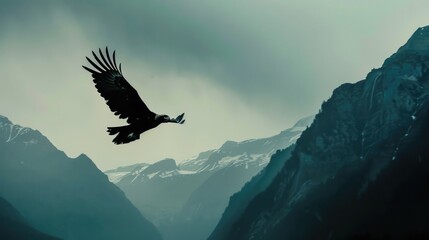 Sticker - eagle flying on sky over mountains
