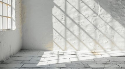 Wall Mural - sunlight shadow overlay on white wall background with multiply mode