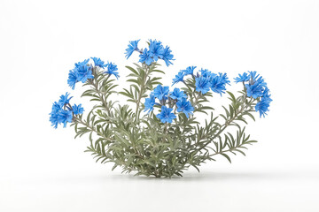 Wall Mural - Blue Flowers on White Background