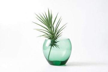 Canvas Print - Green Glass Vase with Green Plant