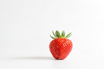 Canvas Print - Single Strawberry on White Background