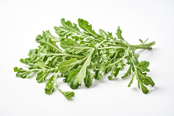 Wall Mural - Fresh Green Herbs Isolated on White Background