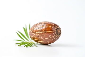 Single Shea Nut with Green Leaves on White Background