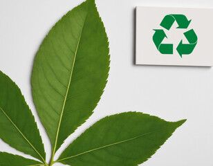 Recycle symbol with green leaf, recycling concept