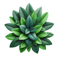 Sticker - Green leaves symmetric arrangement isolated on transparent background PNG Image AI Generated