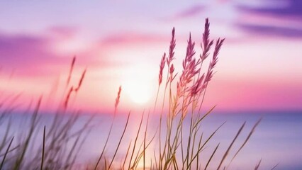 Wall Mural - little grass stem close up with sunset over calm sea sun going down over horizon pink and purple pastel watercolor soft tones beautiful nature background.