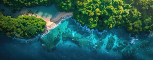 Wall Mural - Aerial view of a tropical beach surrounded by lush greenery and crystal-clear blue water, perfect for vacation and travel inspiration.