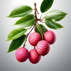 Canvas Print - Litchi isolated on white background