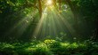 © DARIKA - Golden rays of light pierce through a canopy of lush green foliage, casting enchanting patterns on the forest floor. Abstract Backgrounds Illustration, Minimalism,