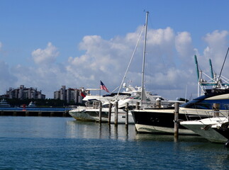 Sticker - Marina in Miami South Beach, Florida