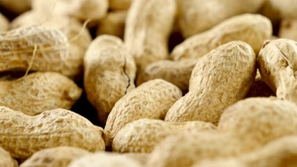 Canvas Print - extremely close up on peanut