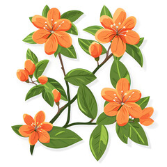 Wall Mural - Orange Jasmine with green leaves 