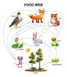 © YG Studio - Food web ecosystem vector cartoon illustration