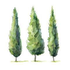 Wall Mural - Pine tree silhouette set. Watercolor illustration. Transparent background.