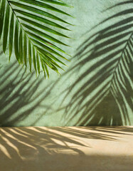 Wall Mural - Tropical summer background with the shadows of palm leaves creating a tranquil empty space for decor.