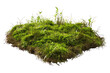 © posterpalette - Green mose with grass growing isolated on transparent background