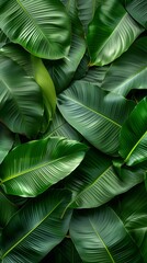 Canvas Print - Lush Tropical Leaves Backdrop for Beauty Product Presentation and Eco Friendly Branding