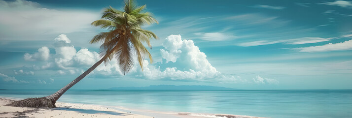 Wall Mural - coconut tree with tropical beach with cloudy times. Creative banner. Copyspace image