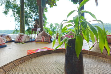 hammock on the beach