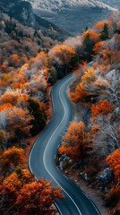 Canvas Print - Aerial View of Winding Mountain Pass Shrouded in Autumn Foliage