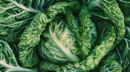 Vibrant green, crunchy, and fresh chinese cabbage or napa cabbage texture in a shallow depth of field, showcasing delicate, layered, and curled leaves in high definition.