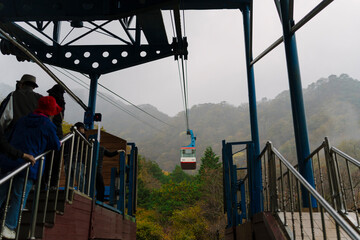 Wall Mural - a cable car ascending above an autumn-colored forest in Naejangsan, Korea, showcasing the natural beauty and a serene transportation method.