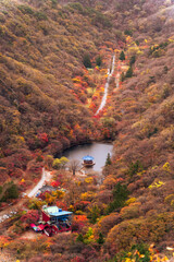 Wall Mural - aerial view of Naejangsan National Park in Korea, showcasing vibrant autumn foliage, a serene lake, and traditional architecture amidst a mountainous landscape.