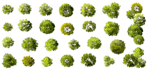 Wall Mural - vector set of top view green tree for outdoor plan or map and architecture drawing, elements for env