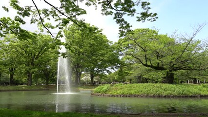 Wall Mural - Shibuya city Yoyogi Park lake fountain in Tokyo, Japan