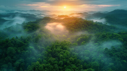 Wall Mural - Aerial top view forest tree, Rainforest ecosystem and healthy environment concept background, Texture of green tree forest view from above, Beautiful sunrise over the mountains of western Thailand.