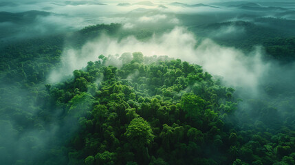 Canvas Print - Aerial top view green forest with earth, Green planet in your hands, Save Earth, Texture of forest view from above ecosystem and healthy environment