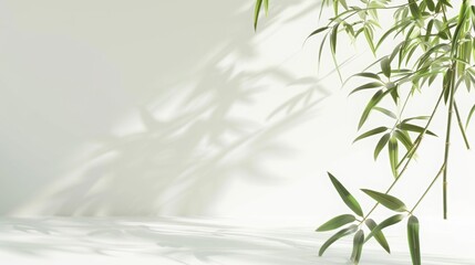 Canvas Print - bamboo, white backround, side view