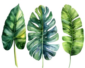 Sticker - Vibrant Tropical Leaves Watercolor Painting Set Isolated on White Background