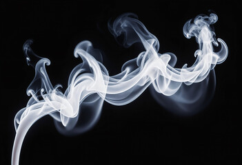 Wall Mural - White smoke on black