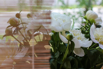 Wall Mural - Blurred floral background. A bouquet of white peonies.