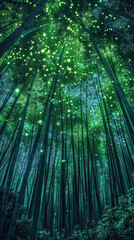 Canvas Print - Enchanting Summer Night Scene with Glow in the dark Fireflies in Bamboo Forest