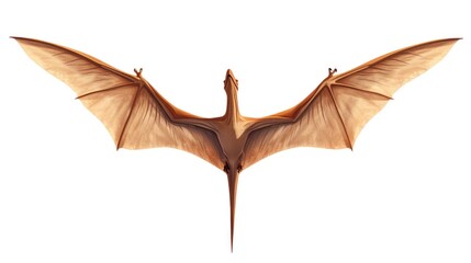 Wall Mural - Clipart vector illustration of a flying dinosaur, Pterodactyl.