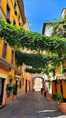 Wall Mural - Colorful street with hanging vines in the old historic neighborhood of Trastevere, Rome, Italy