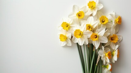 Wall Mural - Yellow and white daffodils bouquet on white background with space for text Greeting card background