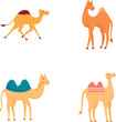 © nsit0108 - Cute camel icons set cartoon vector. Various type of camel with saddlery. Desert animal