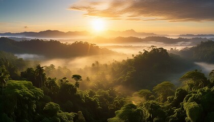 Poster - Enchanting Woodlands: Exploring the Heart of Nature