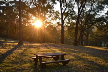 Poster - a field with trees and a sun setting, Picturesque sunrise illuminating trees, providing a soothing setting for morning tea or coffee