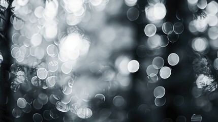 Wall Mural - Blurred bokeh background of gray black and white tones in a natural forest