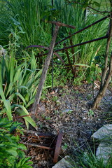 Canvas Print - Antique Farm Tools in a Garden